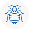 Bed Bug Extermination In Keymer