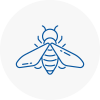 Bee Nest Removal Keymer