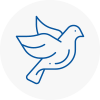 Bird Prevention Keymer