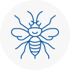 Keymer Hornet Nest Removals
