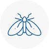 Moth Control Specialists In Keymer
