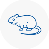 Rat Control Keymer
