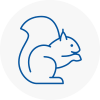 Keymer Rodent Removals